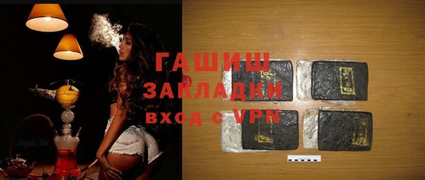 индика Надым