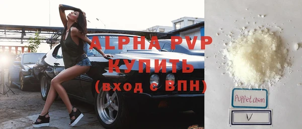 индика Надым