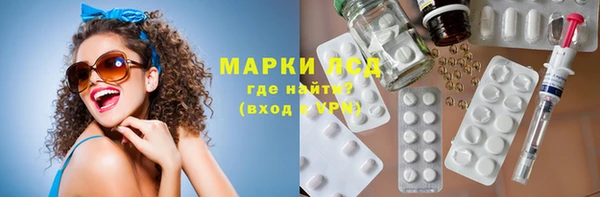 индика Надым