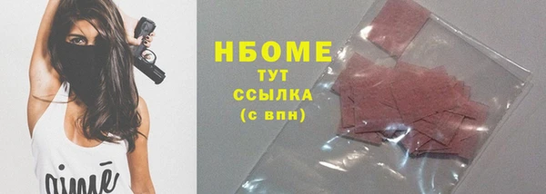 хмурый Абаза