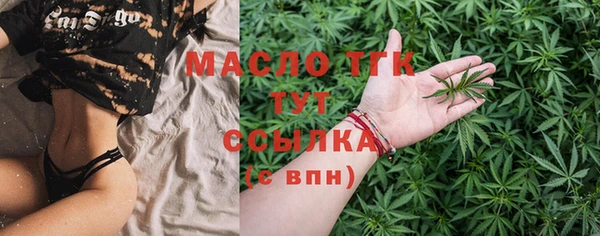 индика Надым