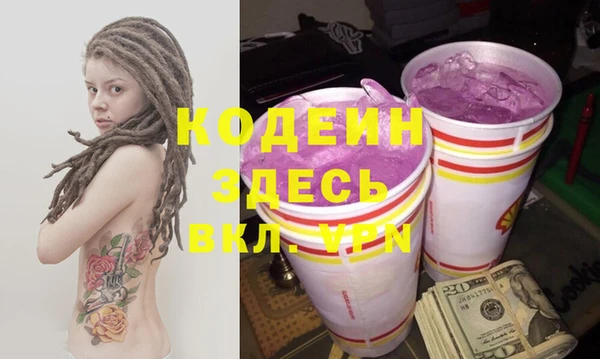 хмурый Абаза