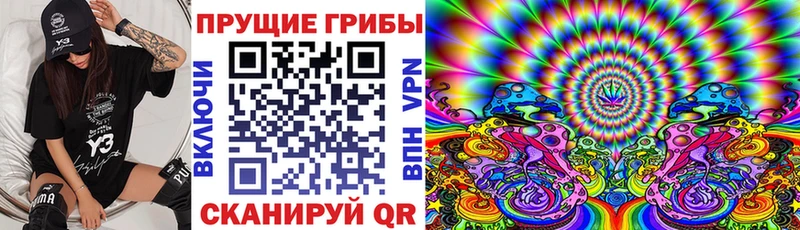 Псилоцибиновые грибы Magic Shrooms  где можно купить   Тутаев 